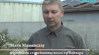 TBN Baltia: "Рядом с Нарвой планируют построить свинокомплекс"