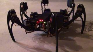 FREAKY Robot! Phoenix Hexapod - Up Close, Questions & Answers