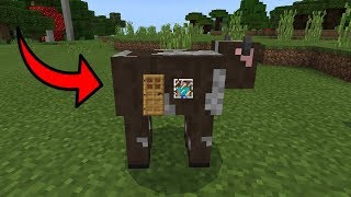 How To Live Inside a Cow in Minecraft PE ?