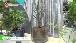 [第48回スーパーマーケット・トレードショー2014] 人・植物・環境にやさしい用土「チャコボール」 - インパック株式会社