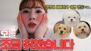 ENG/JP)?오늘 술 한잔 했습니다 왜냐구요? 모처럼 가족 여행이라 기분이 좋거든요?｜애견펜션에서 제대로 힐링하는 먹방 vlog?｜[라온스럽게 / Be Like Raon Lee]