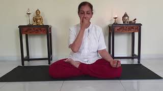 Part 6-Pranayama- Nadi Shudhi