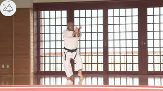 Sakugawa Masanobu  9 Dan Shorinji ryu Senshinkan / kata Chinto / Karate kai kan