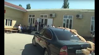 Кумыкская свадьба,Костекская ,1 часть, свадьба Вагида и Эльвиры 26.08.2012