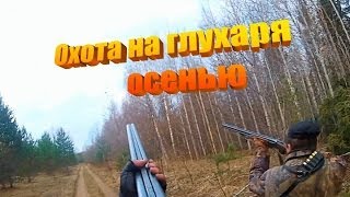 Охота на глухаря осенью! Охота осенью в Вологде! Глухарь.