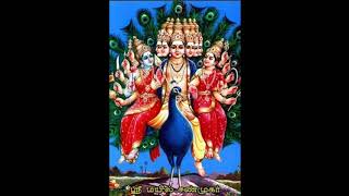 ஆறுமுகம்  ஆறுமுகம் : திருப்புகழ் : சிவகாசி அருணகிரிநாதர் சபை