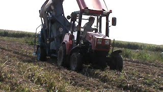 уборка картофеля в Беларусь