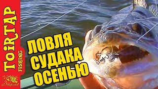 Осеняя рыбалка 2015. Ловля судака осенью