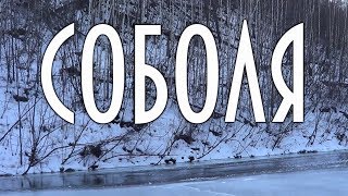 ВСТРЕЧА В ТАЙГЕ С ТАЕЖНЫМ ОХОТНИКОМ Промысел. Соболя. ?