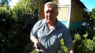 Целитель Апитерапевт Лечит Пчелоужаливанием, Киев, Украина