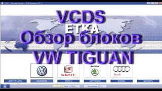 Обзор Кодировок Блоков Volkswagen Tiguan в VCDS /Вася Диагност