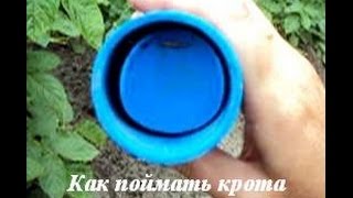 Как поймать крота живьем.