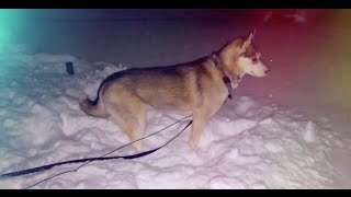 3am and a foot of snow!!!