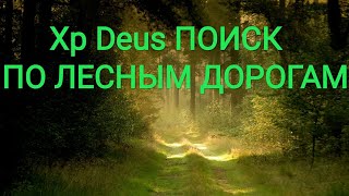 Xp Deus Поиск по лесным дорогам