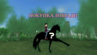 ПОКУПКА АНДАЛУЗСКОЙ ЛОШАДИ | STAR STABLE ONLINE