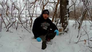 Приманки на Куницу. Базовая установка.