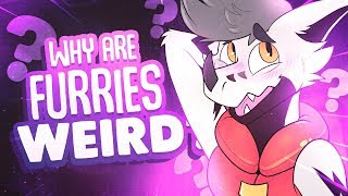 Why Furries are Weird?