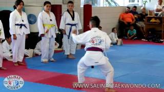 Salinas Tae Kwon Do Academy - Diego Mora Promotion Test