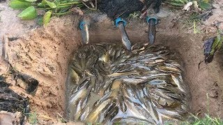 10 ГЕНИАЛЬНЫХ СПОСОБОВ ЛОВИТЬ РЫБУ БЕЗ УДОЧКИ