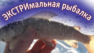 ЭКСТРИМальная рыбалка на ХАРИУСА. Рыбалка в дикий мороз.
