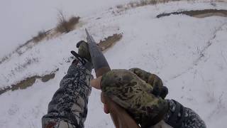 Охота на зайца 11 01 2020