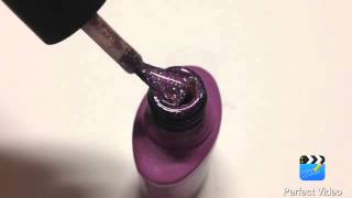 Shellac CND #B108  Rock Royalty