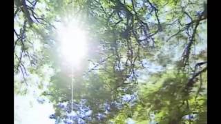 Chill Out with Igor Krutoy Music and Amazonia & Pantanal