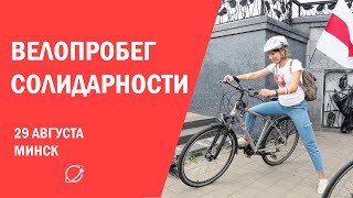 Десятки велосипедистов выехали на велопробег