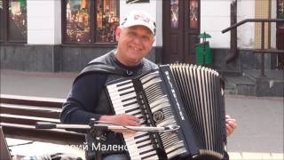 Порвал улицу и заставил прохожих танцевать... Классный музыкант!!! Brest! Street! Music!
