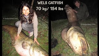 BIGGEST WELS CATFISH on CRANKBAIT in Bulgaria/ Рекорден Сом 70 кг на Воблер/ Rekord-Wels auf Wobbler