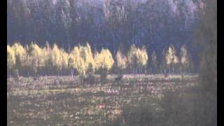 олени бегут