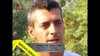 TV CENTAR: Moravske ribe