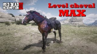 Améliorer son cheval au MAX ! - Red Dead Redemption 2