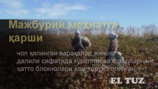 Урлаева ва Эшонқулова милиция томонидан ушланди