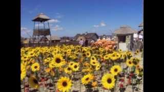 Легенды Тамани   2012