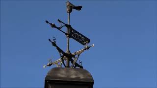 Мысли в слух, про стили полётов у Николаевского голубя. 2020 01 17