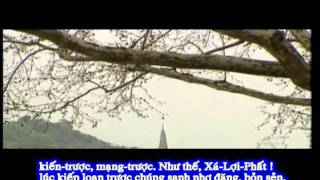 Tụng Kinh Pháp Hoa - Phẩm Phương tiện - Quyển I (Thầy Thích Trí Thoát tụng)