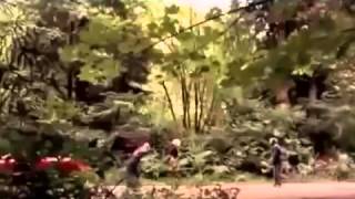 Qorxulu film sehneleri. Qorxulu film kino