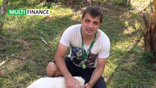 Поздравления с 8 марта.  Поздравление для родителей.  Мамы, мама и Бабушка.