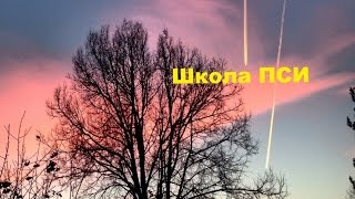 Снятие морока  Или как увидеть истинное лицо врага Тренинг 84