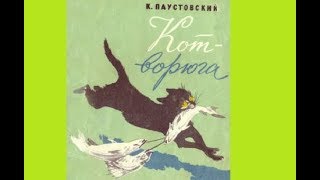 Кот ворюга. Паустовский. Аудиосказки для детей.