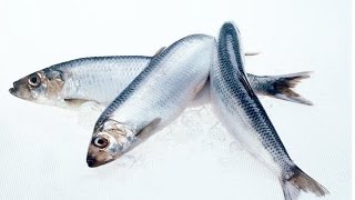 Вкусная селёдка  домашнего посола