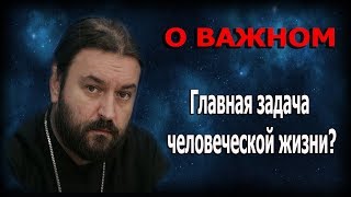 Когда голова находится на месте головы! Протоиерей Андрей Ткачёв