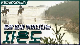 개랑 말이 뛰어다니는 자은도, 푸른 물결이 흐르는 자은도