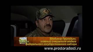 Охота на браконьеров Челябинская область октябрь 2013 г.