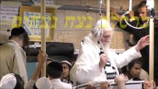 ''מדהים'' הצדיק הרב ברלנד בשירה סוחפת בשיר 'צהלי ורוני' מומלץ לצפות מתחילה ועד סוף