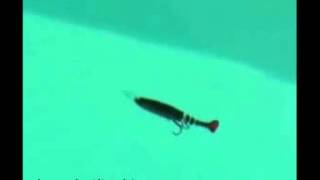 Swim Bait , Live Section-Rattle Multi-Section Buck Shad Hot