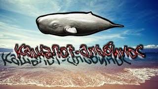 Русская Рыбалка 3.99 Морские звезды и Калашот-альбинос