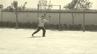 Continious Fist - Shaolin Form - Maling Kungfu School