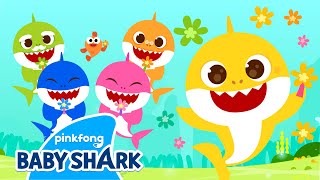 [ New] Colors are Beautiful! | Baby Shark Colors | Learn Colors for Kids 